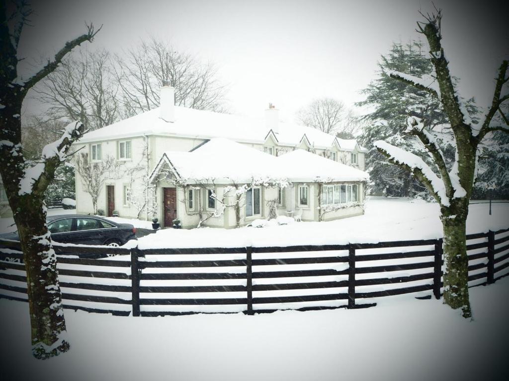 Sea Dew B&B Tullamore Exterior photo